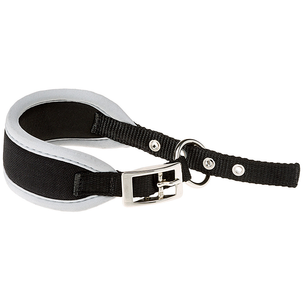 首の長い犬種に最適な首輪 エルゴ コンフォート ERGO COMFORT CW