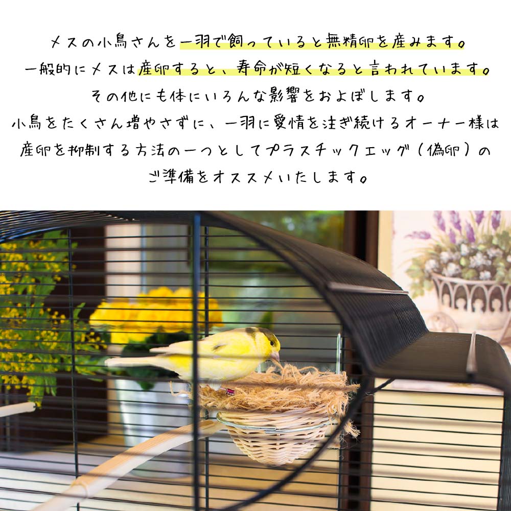 【小鳥〜中型鳥さん用】Vogel-Ruh ♫バードスタンド 楽天市場】インコ スタンドの通販