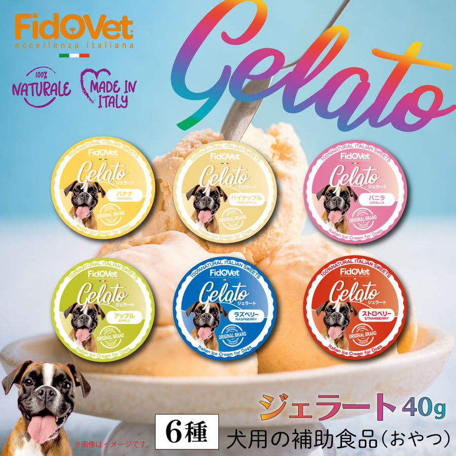 FidOVet フィドベット ジェラート 40g 犬 おやつ アイス