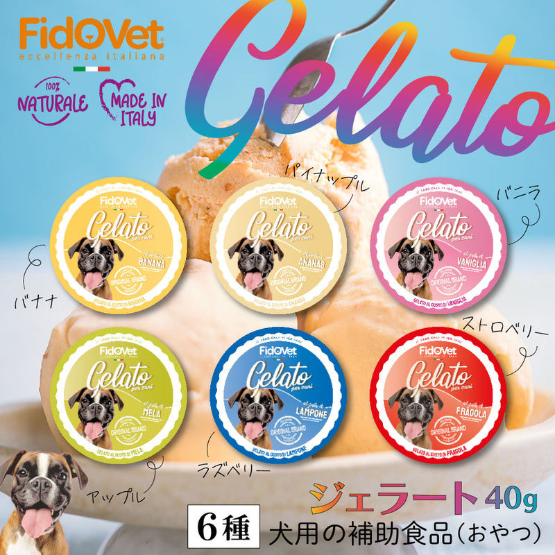 フィドベット　ジェラート 40ｇ