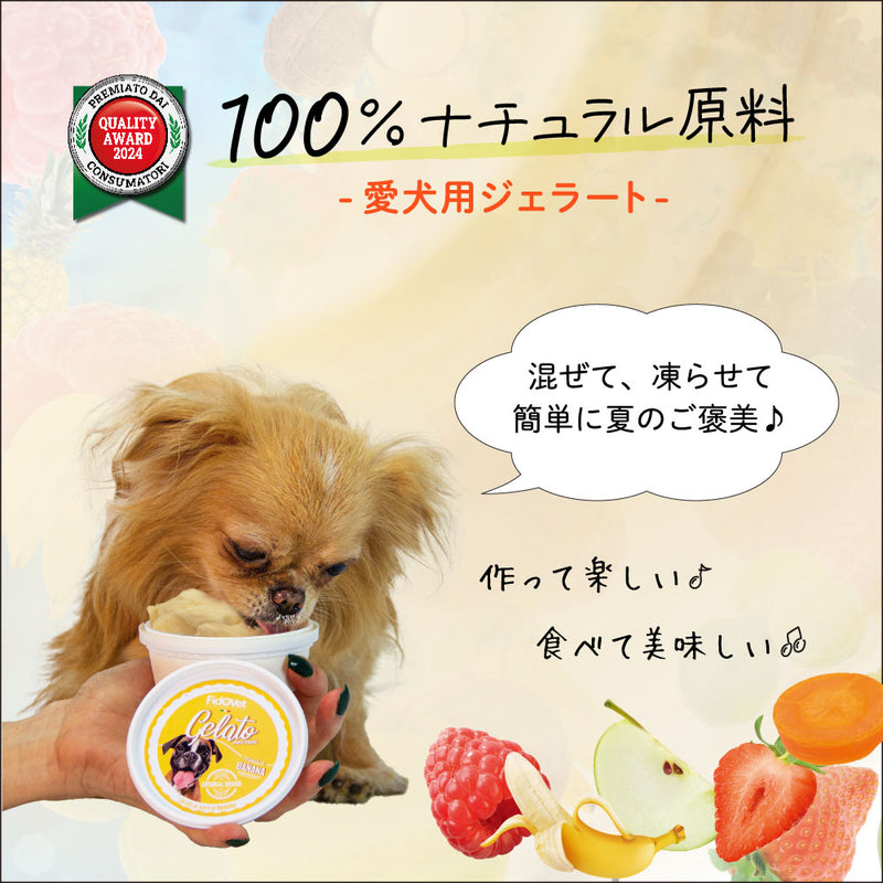 【期限切迫特価】FidOVet フィドベット ジェラート 40ｇ 犬 おやつ アイス