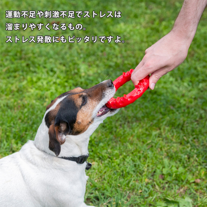 【今だけプレゼント付き】ドッグデンタルトイ スマイル XS・S・M・L 楽しく歯のケアをする
