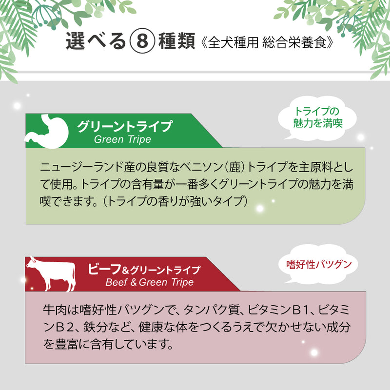 ビーフ＆グリーントライプ 185g 全年齢用 ドッグフード