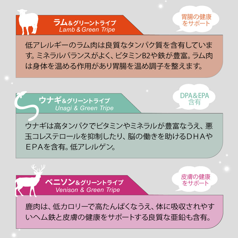 ビーフ＆グリーントライプ 185g 全年齢用 ドッグフード