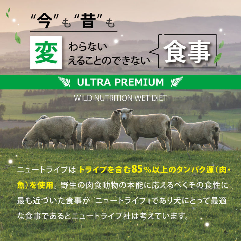 ウナギ＆グリーントライプ 185g 成犬用 総合栄養食