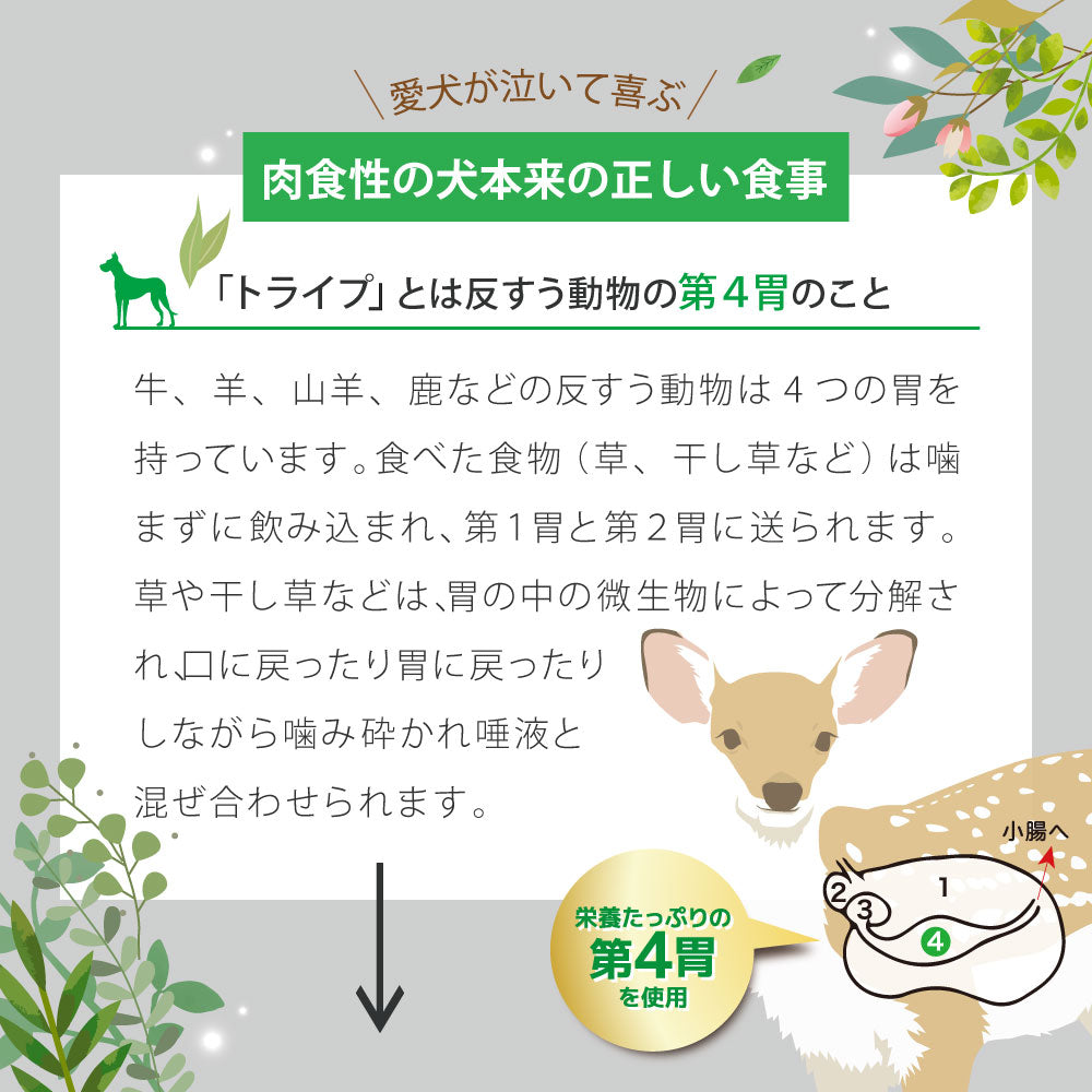 ニュートライプ ウナギ＆グリーントライプ 24缶まとめて 値下げしました！ ウナギ＆グリーントライプ 185g 成犬用 総合栄養食