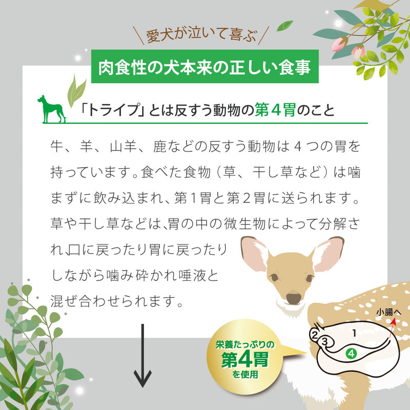 ウナギ＆グリーントライプ 185g 成犬用 総合栄養食