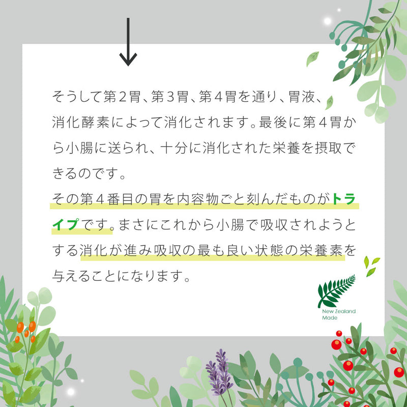 ウナギ＆グリーントライプ 185g 成犬用ニュートライプ ピュア