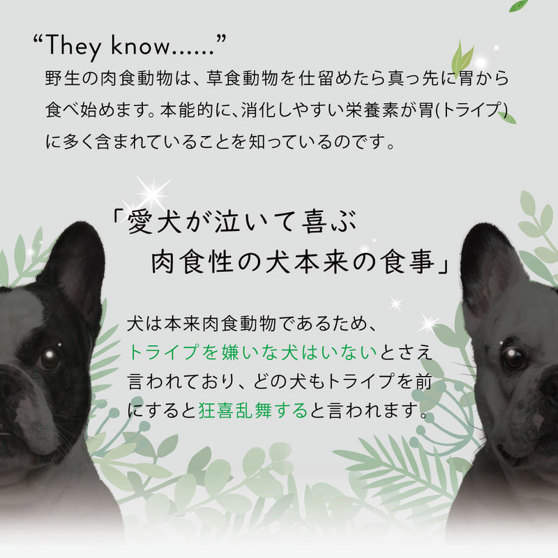 ウナギ＆グリーントライプ 185g 成犬用 総合栄養食