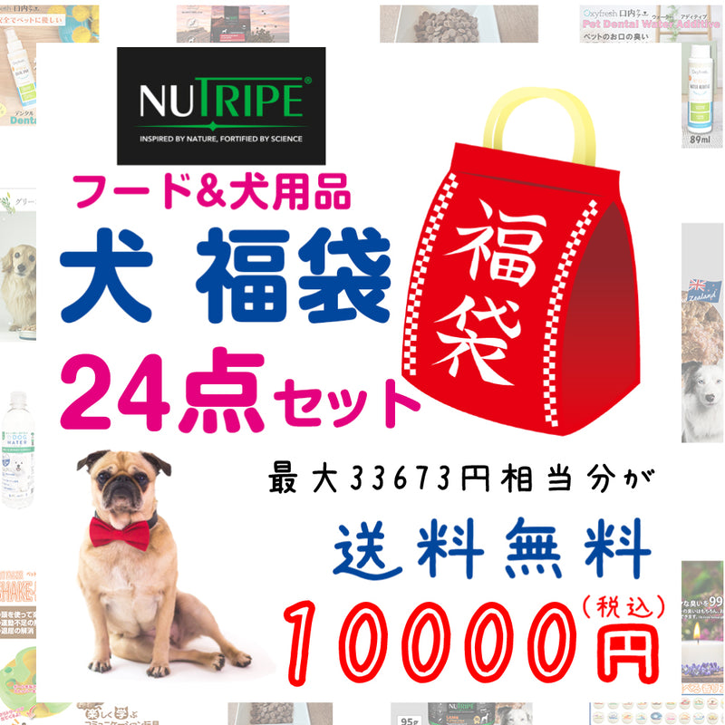 ニュートライプ 犬 10000円【福袋】