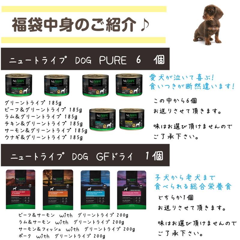 ニュートライプ 犬 10000円【福袋】