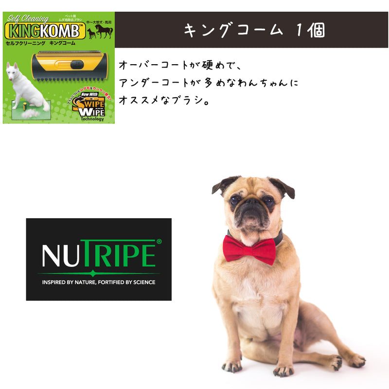 ニュートライプ 犬 10000円【福袋】
