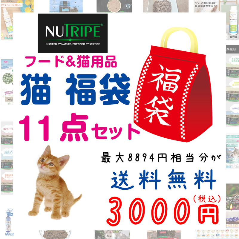 ニュートライプ 猫 3000円【福袋】