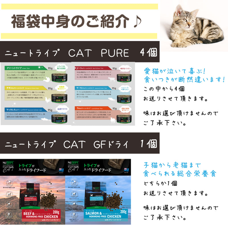 ニュートライプ 猫 3000円【福袋】