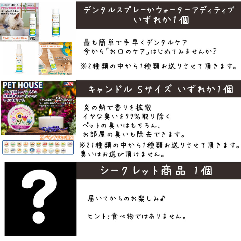 ニュートライプ 猫 3000円【福袋】