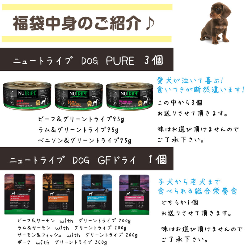 ニュートライプ 犬3000円【福袋】