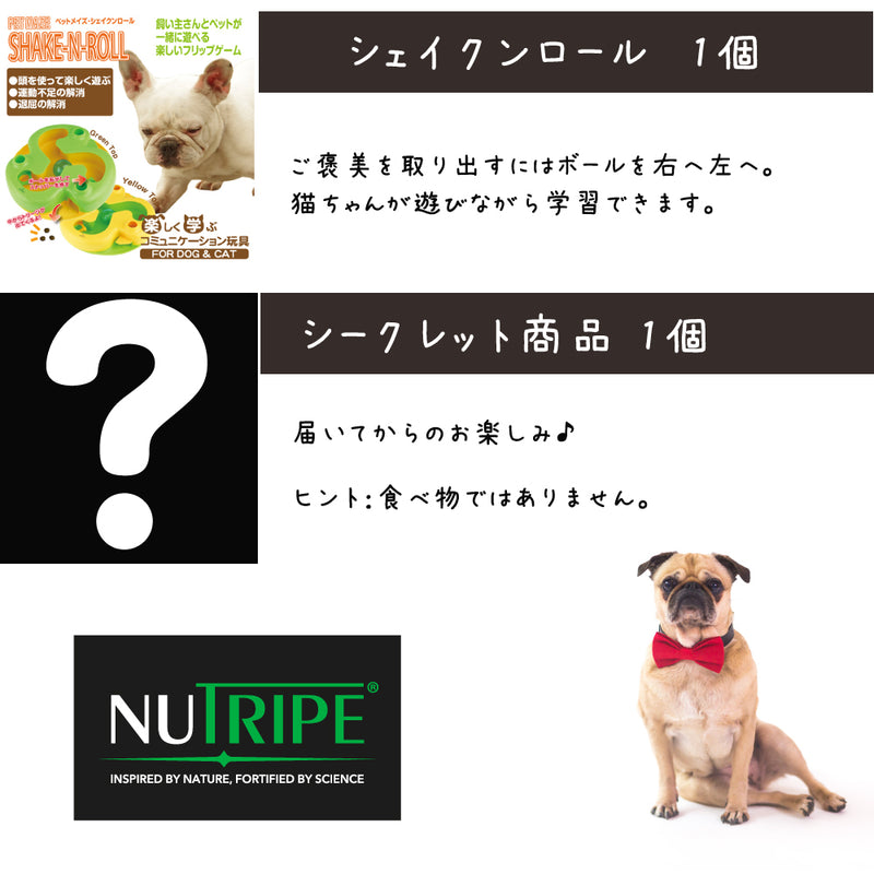 ニュートライプ 犬3000円【福袋】