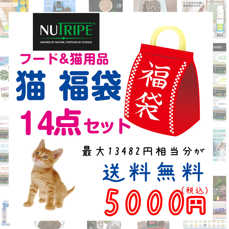ニュートライプ 猫 5000円【福袋】