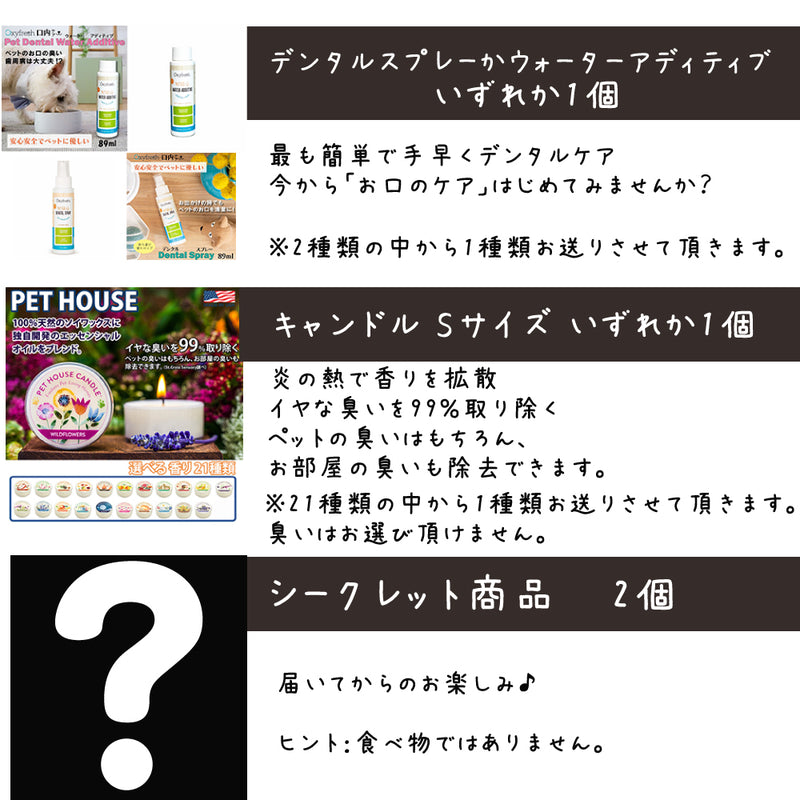 ニュートライプ 猫 5000円【福袋】