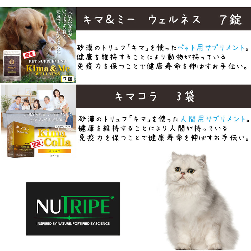 ニュートライプ 猫 5000円【福袋】