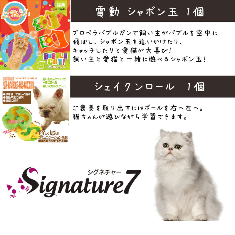 シグネチャー7 猫 10000円【福袋】