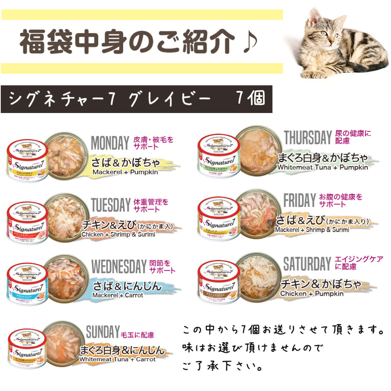 シグネチャー7 猫 10000円【福袋】