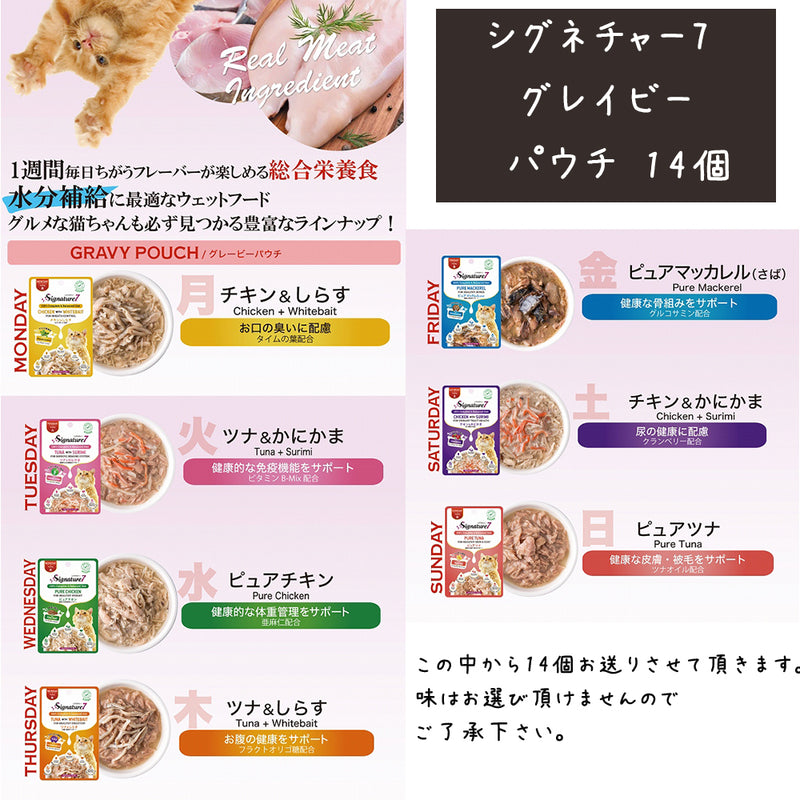 シグネチャー7 猫 10000円【福袋】