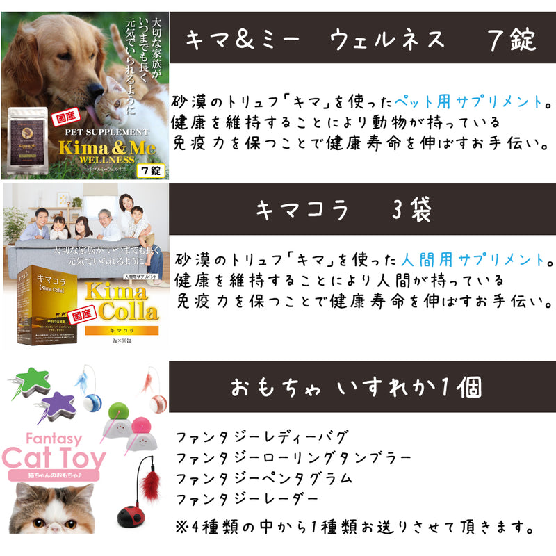 シグネチャー7 猫 10000円【福袋】