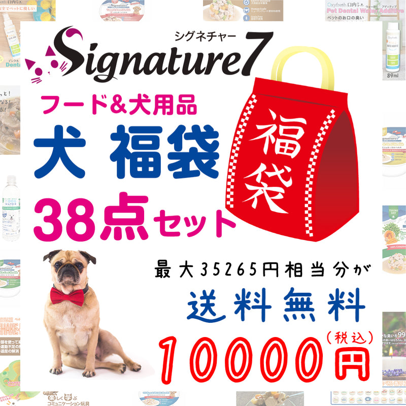 シグネチャー7 犬 10000円【福袋】