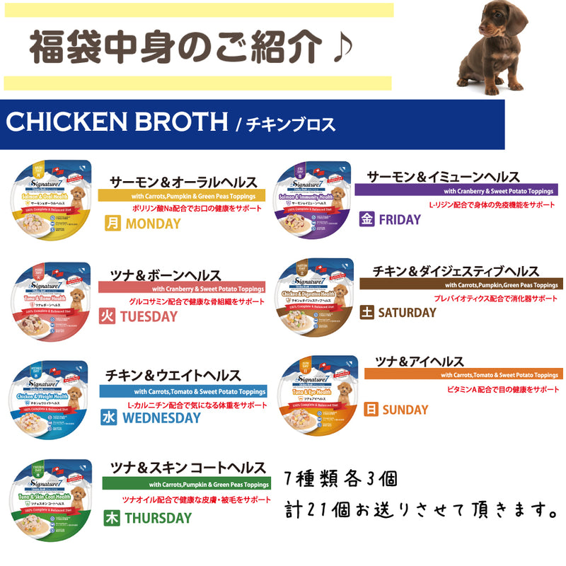 シグネチャー7 犬 10000円【福袋】