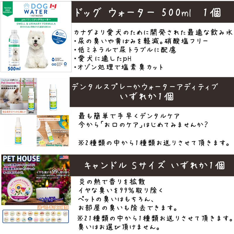 シグネチャー7 犬 10000円【福袋】