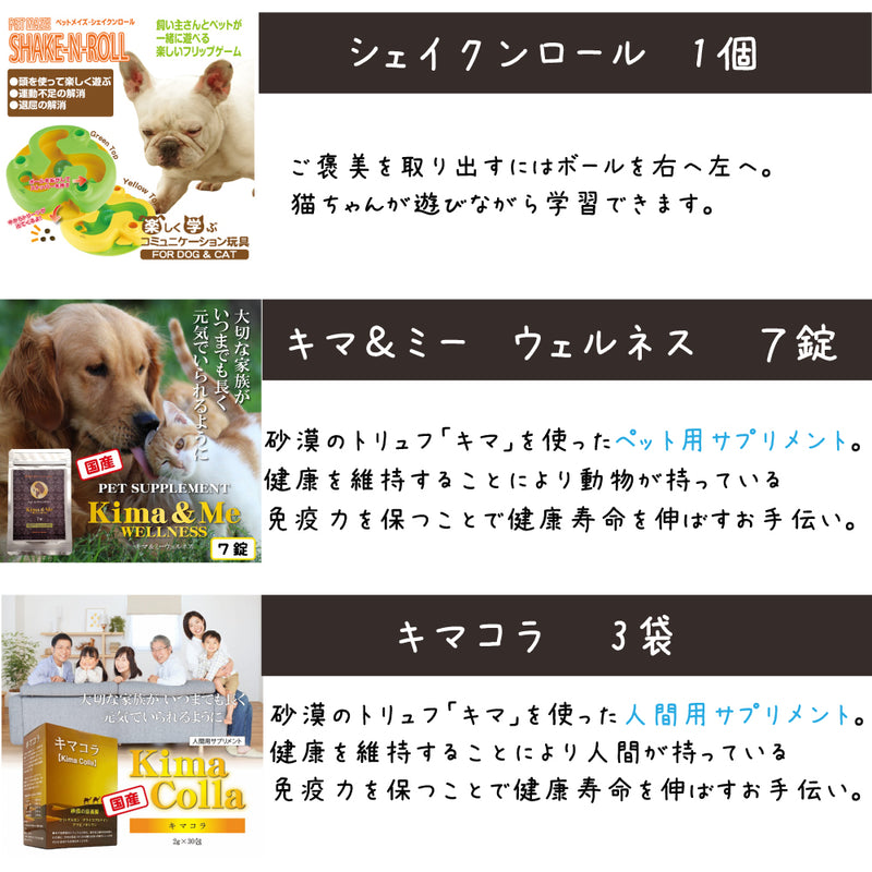 シグネチャー7 犬 10000円【福袋】