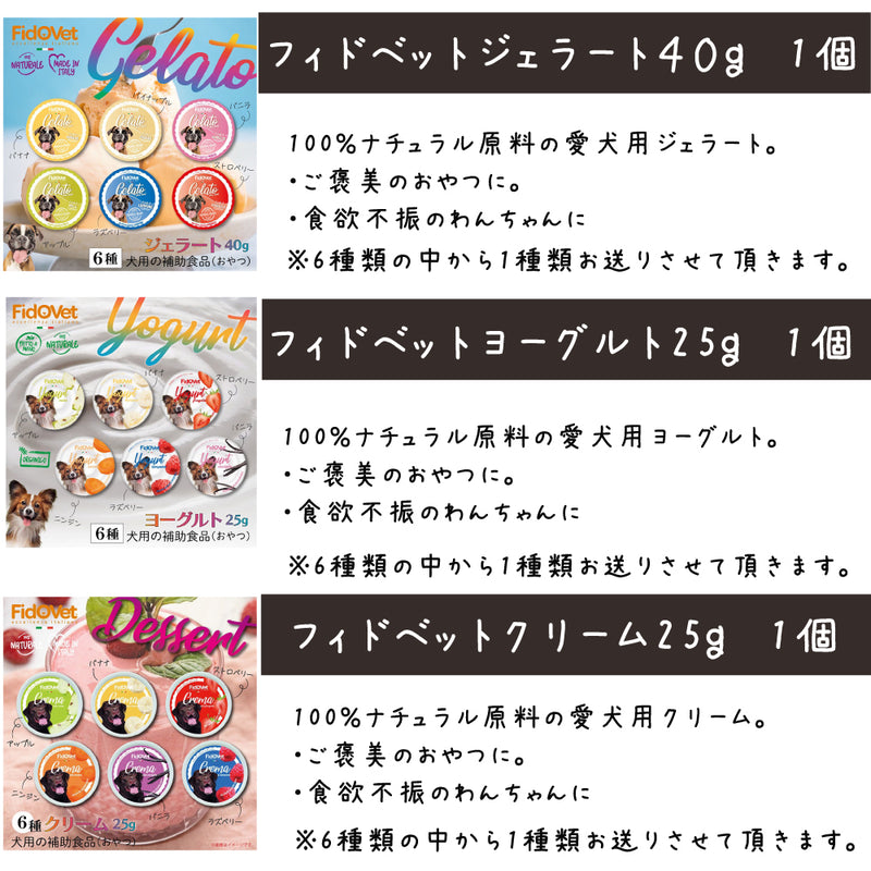 シグネチャー7 犬 10000円【福袋】
