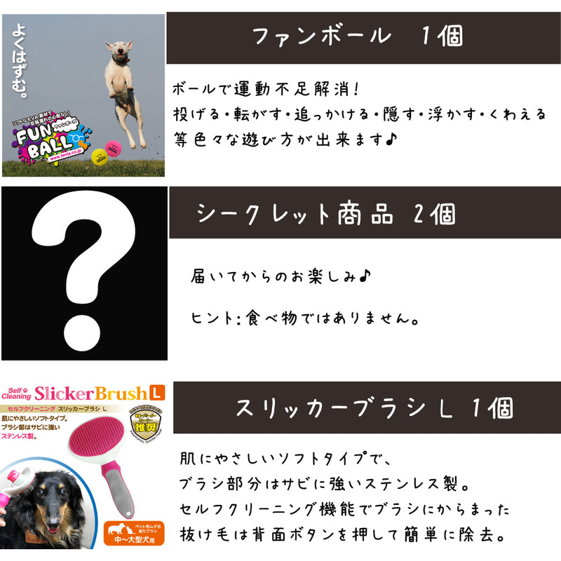 シグネチャー7 犬 10000円【福袋】