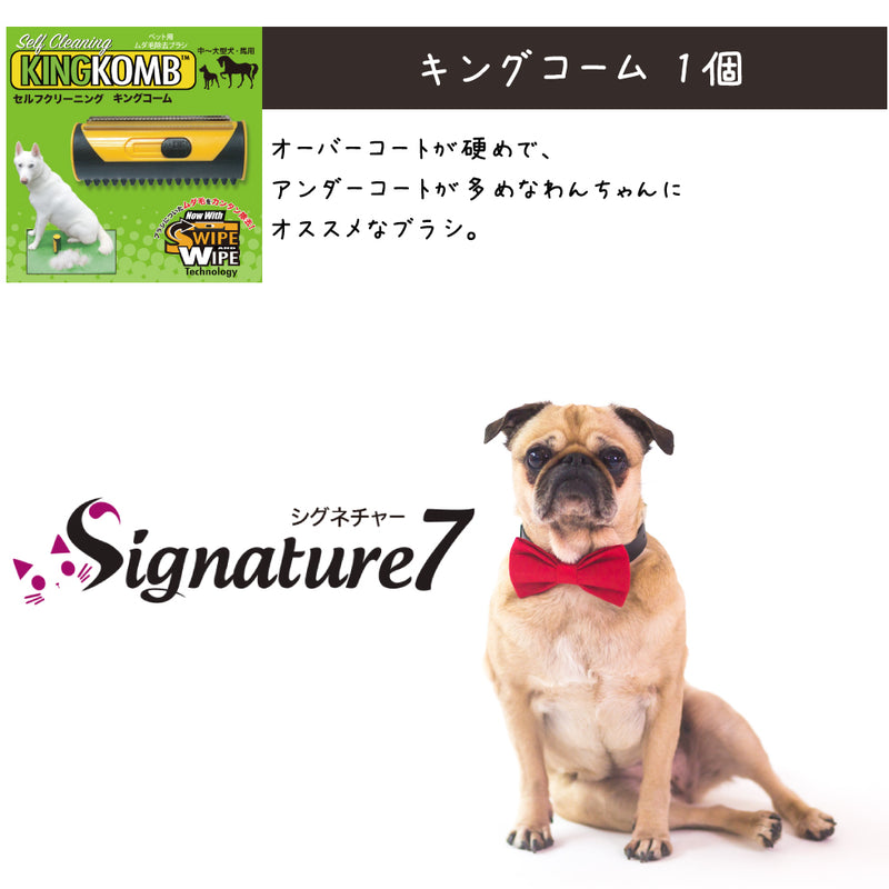 シグネチャー7 犬 10000円【福袋】