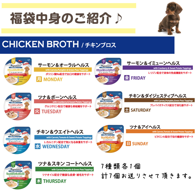 シグネチャー7 犬 3000円【福袋】