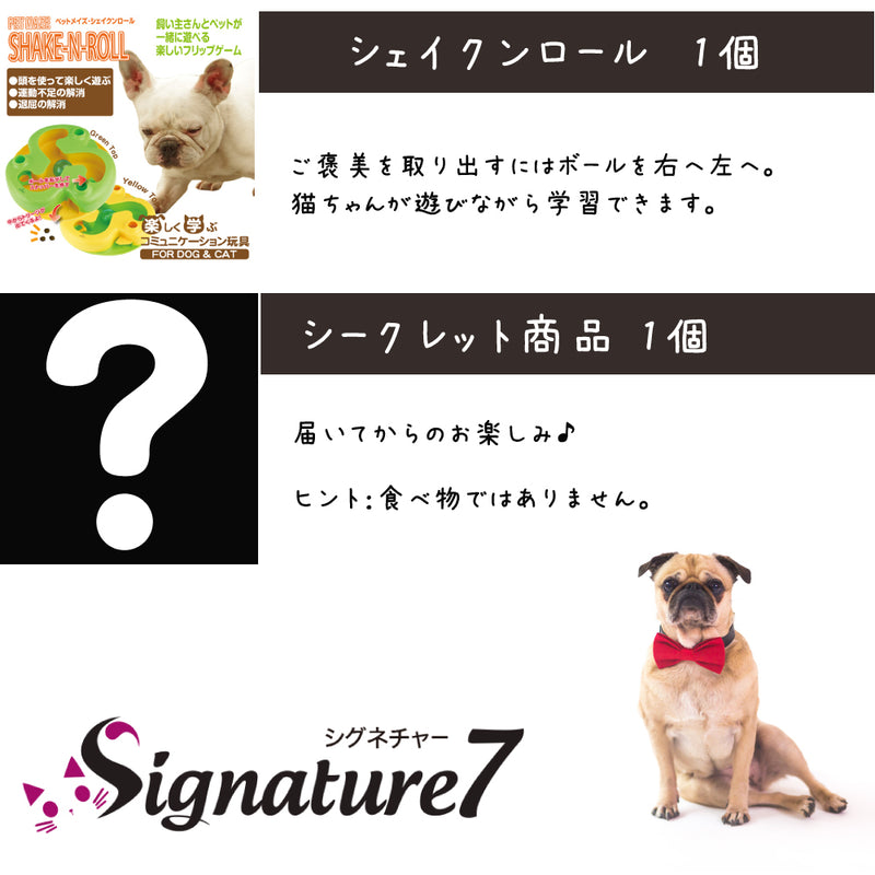 シグネチャー7 犬 3000円【福袋】
