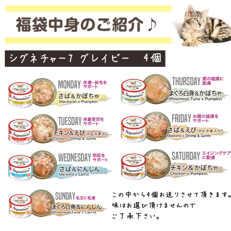 シグネチャー7 猫 5000円【福袋】