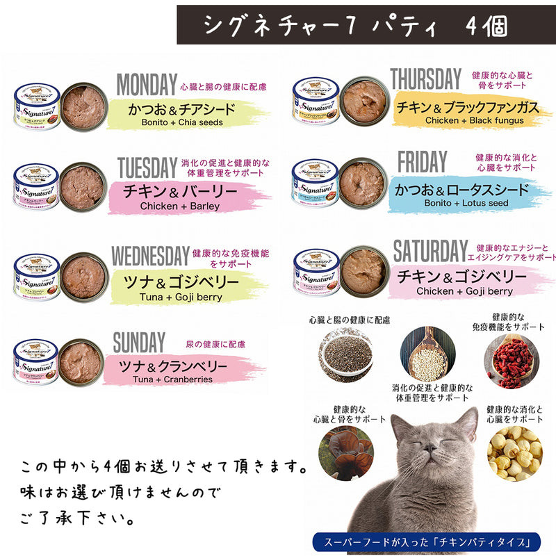 シグネチャー7 猫 5000円【福袋】