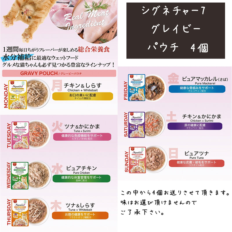 シグネチャー7 猫 5000円【福袋】