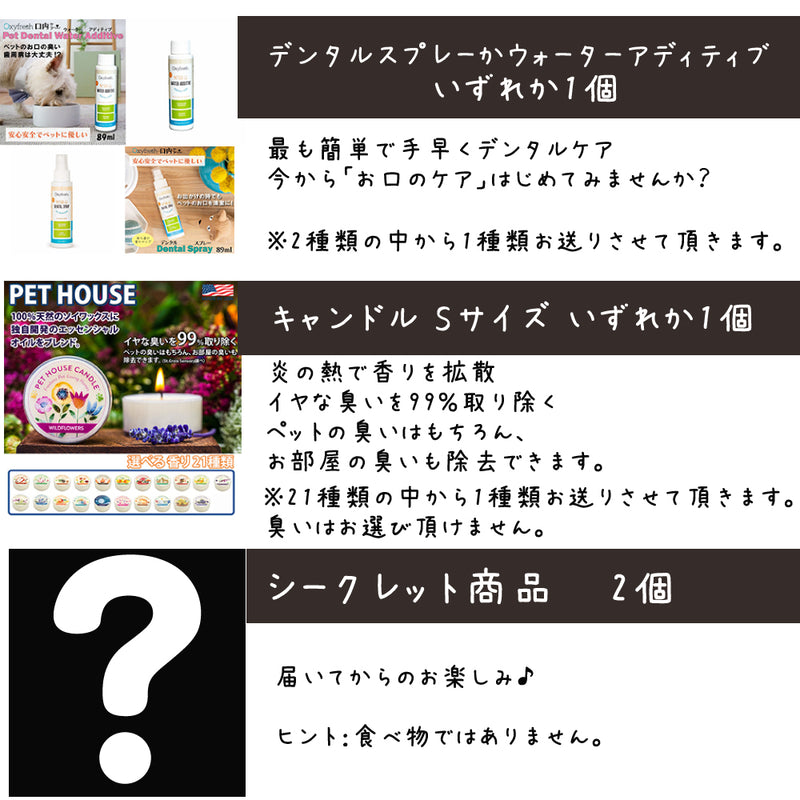 シグネチャー7 猫 5000円【福袋】