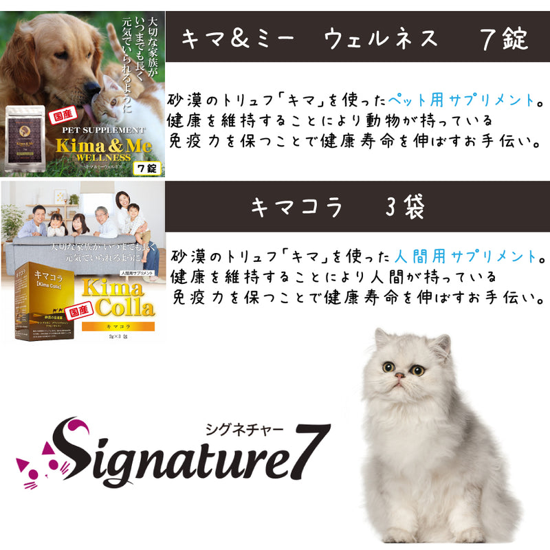 シグネチャー7 猫 5000円【福袋】