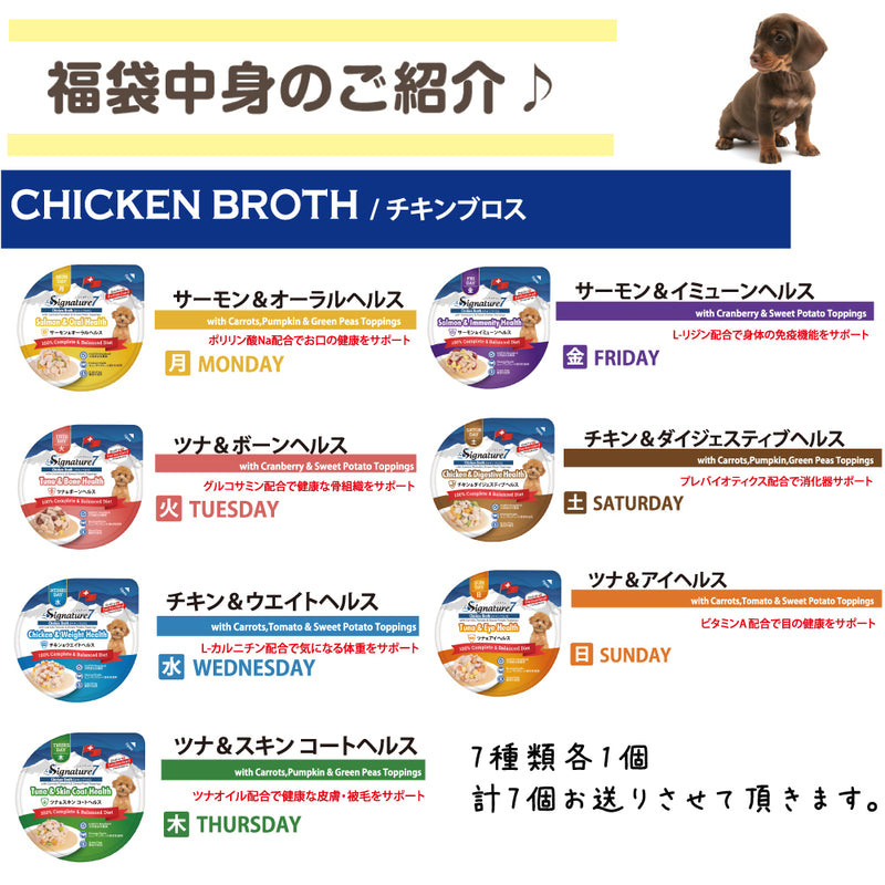 シグネチャー7 犬 5000円【福袋】