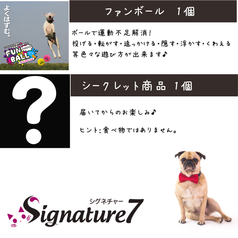 シグネチャー7 犬 5000円【福袋】