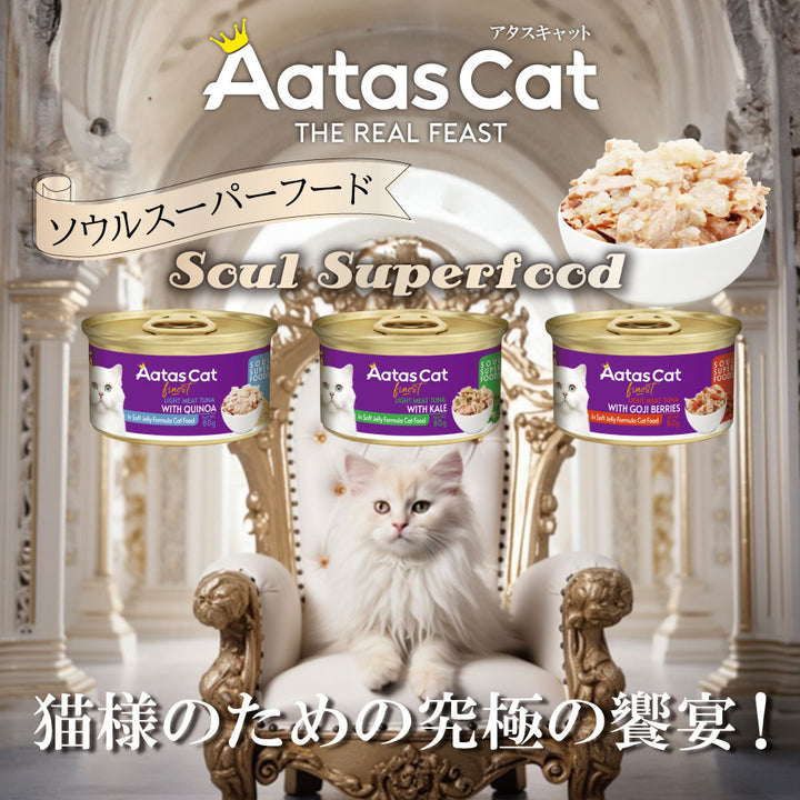 AatasCat キャットフード缶 多種フレーバーセット AatasCat キャットフード缶 多種フレーバーセット