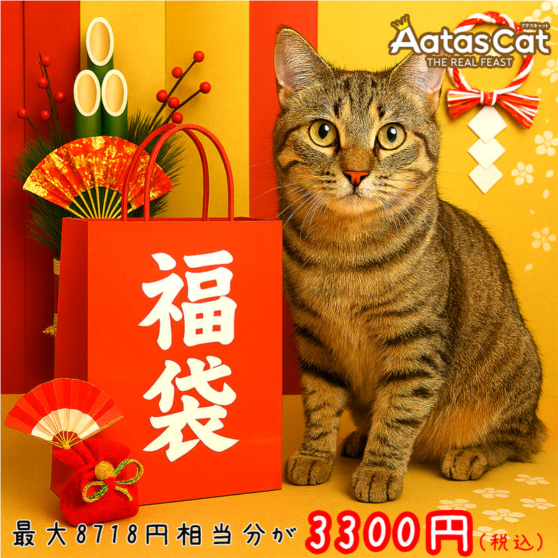 2026年【福袋】アタス 猫 3300円