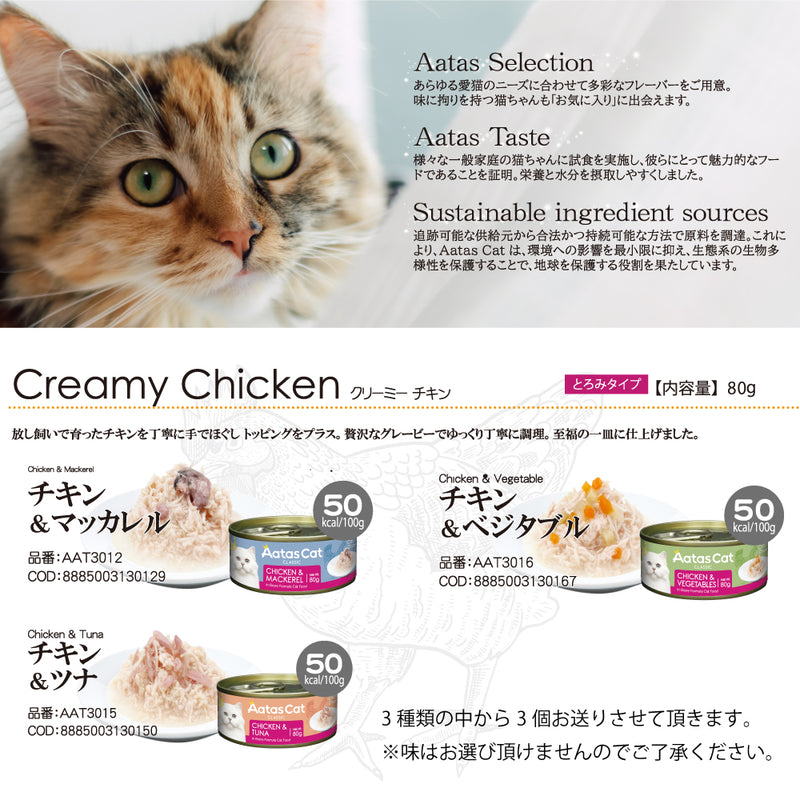 2026年【福袋】アタス 猫 3300円