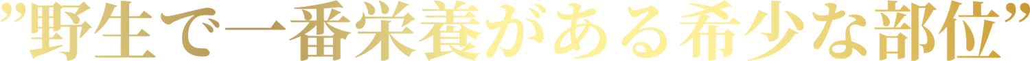 ”野生で一番栄養がある希少な部位”