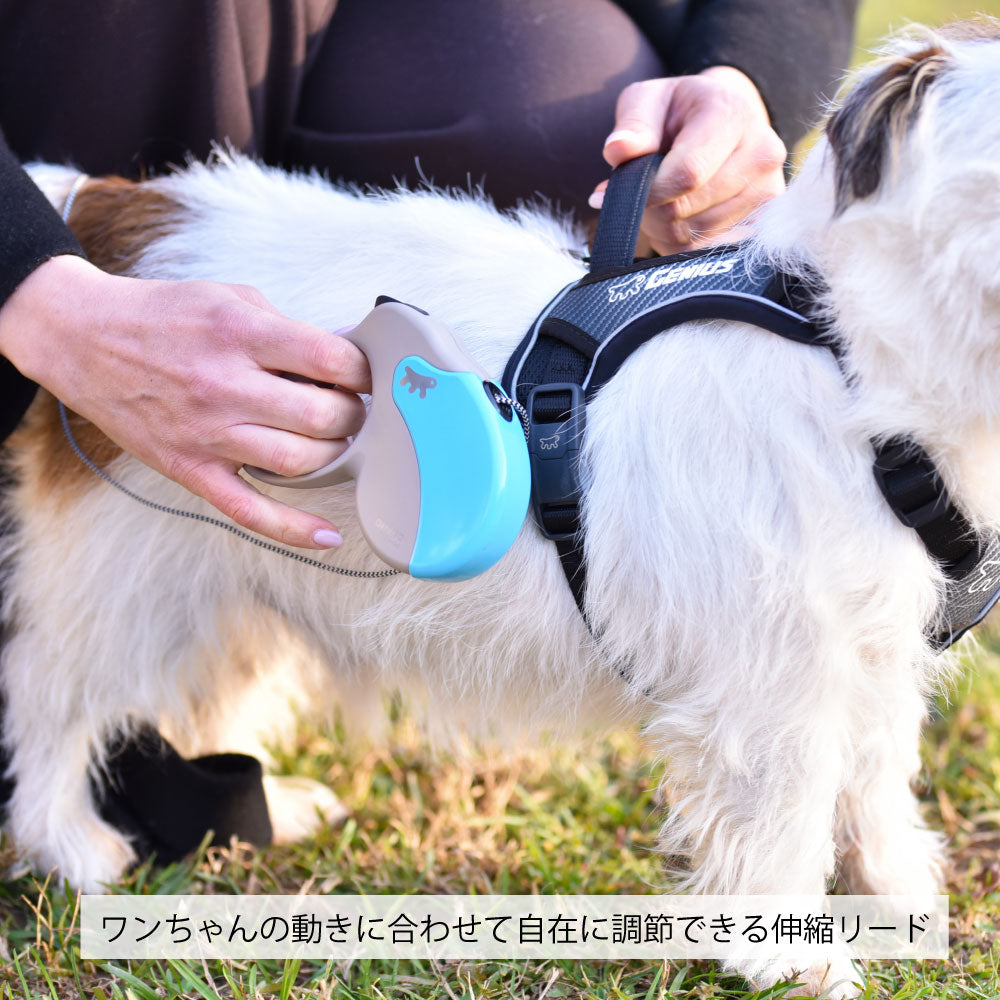 ファープラスト アミーゴ コード リード グリーン 犬 Lサイズ 5m ファープラスト アミーゴ コード リード Beige-Turquoise 小・中型犬用