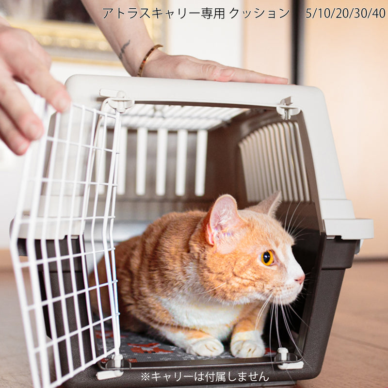 アトラス用 クッション 犬 洗える マット ベット Atlas サイズ展開５